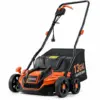 Pull Out Years of Dead Thatch. Bring Your Lawn Back to Life