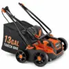 Pull Out Years of Dead Thatch. Bring Your Lawn Back to Life