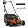 Pull Out Years of Dead Thatch. Bring Your Lawn Back to Life
