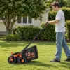 Pull Out Years of Dead Thatch. Bring Your Lawn Back to Life